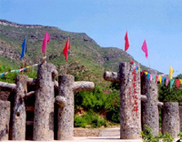 新昌硅化木地质公园